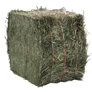 Foin de Crau - 1 Tonne (1 000 kg)