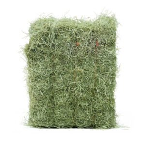 Foin de Prairie Naturel - 1 Tonne (1 000 kg)