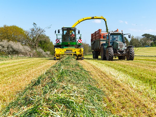 c9654544c4c99da924543a13990d461c lg_nutrition_animale_fourrageres_ensilage_herbe_20210414_151436_dsc_7567_maxime_guigue 20